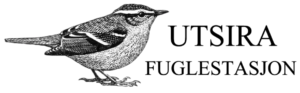 Utsira Fuglestasjon - Logo
